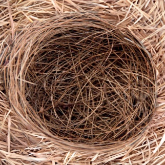 EASTER GREETINGS